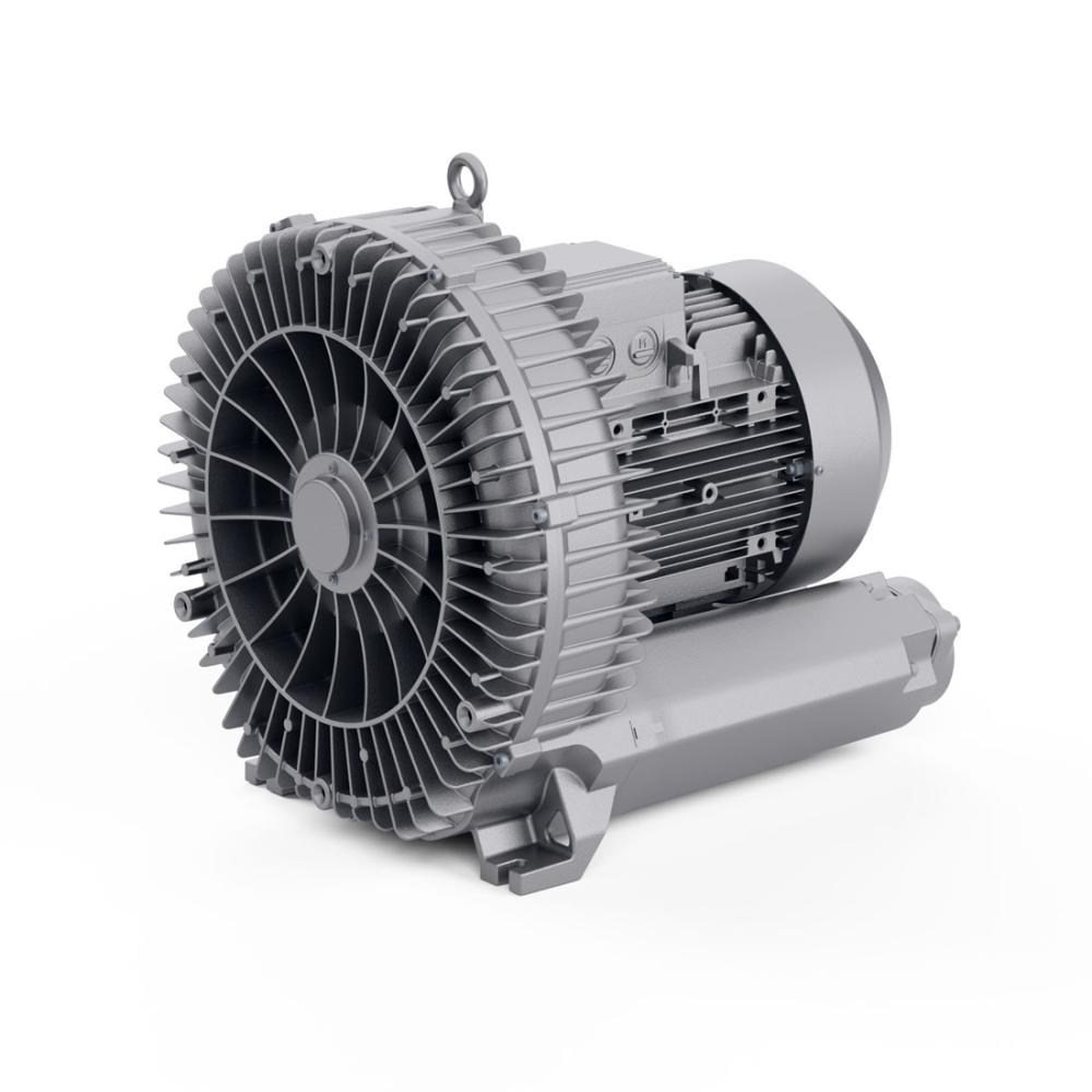 Regenerative Blower